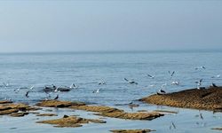 Kazakistan, su seviyesi düşen Hazar Denizi için 2 milyon dolardan fazla kaynak ayırdı