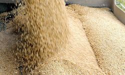 TÜK yemlik arpanın çarşamba günü gelmesinin beklendiğini açıkladı