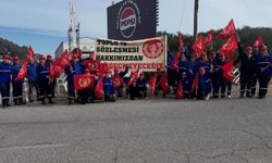 Ektam'da grevin 12'nci günü