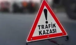 Trafik kazasında ağır yaralanan Fatma Ceylan hastanede hayatını kaybetti