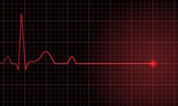 75 yaşındaki Neşet Mavigözlü yaşamını yitirdi; Weber’in ölüm sebebi ise kalp damar hastalığı