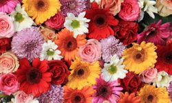 8 Mart Dünya Emekçi Kadınlar Günü mesajları…