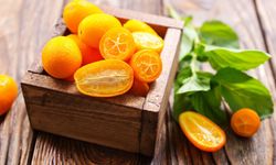 Narenciye İhracatçı Birlikleri: "İhracat sürecindeki engeller giderilsin”