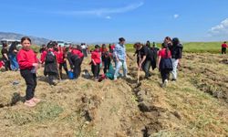 Ergenekon Köyü'nde "Doğaya Nefes Olmak" temalı fidan dikimi etkinliği gerçekleştirildi