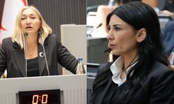 Meclis’te Komite Tartışması: Özdenefe’den Eleştiri, Öztürk’ten Yanıt