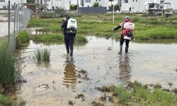 GMB kent genelinde sivrisinekle mücadeleye devam ediyor