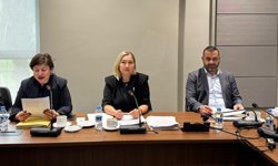 Hukuk, Siyasi İşler, Dışilişkiler ve Savunma Komitesi toplandı