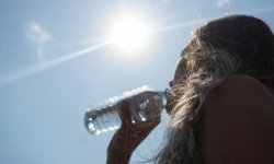 Uzmanlardan 'iklim krizi' uyarısı: Aşırı sıcaklar yıl boyu sürebilir