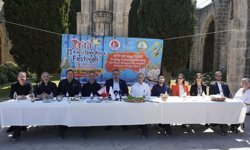 Kıbrıs İpek Koza Festivali 8 Mayıs'ta başlayacak