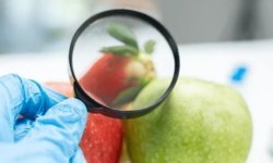 Çilek, fasulye ve biberde limit üstü, domateste tavsiye dışı bitki koruma ürünü tespit edildi