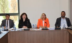 Hukuk, Siyasi İşler, Dışilişkiler ve Savunma Komitesi bir öneri ve dört yasa tasarısını Genel Kurul’a sevk etti