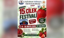 15. Çilek Festivali 9-10 Mayıs tarihlerinde yapılacak
