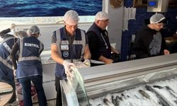 Gönyeli-Alayköy’de Gıda Denetimi: 70 Kilo Ürün Toplatıldı