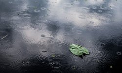 Bugün ve yarın sağanak yağmur bekleniyor