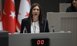 İncirli: Kayıt dışı nüfusla mücadele yöntemi af çıkarmak değil