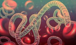 ABD, Ebola salgını nedeniyle ülkeye girişlerde denetimi artıracak