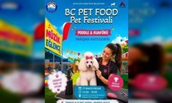 Alagadi’de evcil hayvanlar için festival düzenleniyor