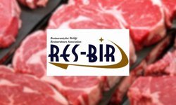 RES-BİR ithal et konusunda çözüm talep etti