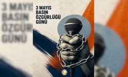 TDP: “Basın Özgürlüğü Demokrasinin Temel Direğidir”