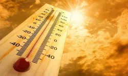 Sıcaklıkların 5 yıl rekor seviyelerde seyretmesi bekleniyor