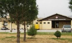Veteriner Dairesi’nden kurban açıklaması