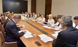 Erhürman, AB nezdinde yapılan PDO ve PGI tescilleri konulu toplantı gerçekleştirdi
