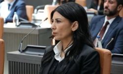 Fazilet Özdenefe: “Anayasa’nın etrafından dolaşılıyor”