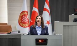 Cumhuriyetçi Türk Partisi (CTP) Genel Başkanı Sıla Usar İncirli, toplantı sonrası konuştu