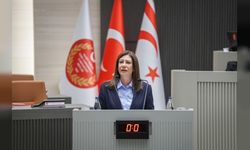 İncirli: “Ülkenin dijital güvenliği ciddi bir güvenlik meselesi”