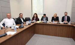 Hukuk, Siyasi İşler, Dışilişkiler ve Savunma Komitesi Yurttaşlık Değişiklik Yasa Tasarısı’nı onayladı