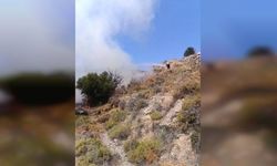 Taşkent’le Güngör arasındaki yangın söndürüldü