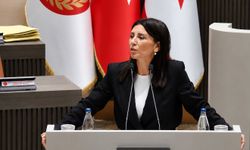 Özdenefe: “Seçim yasası hükümet iç hesaplaşmaları nedeniyle gecikti”