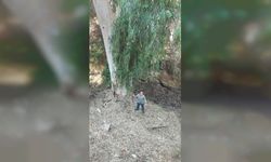 BİO-DER: “Kanlıdere’de gözlenen kirlilik bulguları çevre, halk sağlığı ve canlı yaşamını tehdit ediyor”