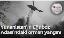 Yunanistan'ın Eğriboz Adası'ndaki orman yangını nedeniyle bir köyün sakinleri tahliye edildi