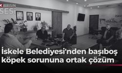 Başıboş köpek sorunu için İskele Belediyesi ile Hayvan Üreticileri ve Yetiştiricileri Birliği'nden ortak hareket kararı