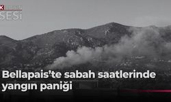 Bellapais'te çıkan yangın kontrol altına alındı