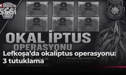 Lefkoşa’da Okaliptus Operasyonu… Uyuşturucu tasarrufundan 3 tutuklu