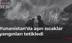 Çöl sıcaklarının etkili olduğu Yunanistan orman yangınlarıyla mücadele ediyor