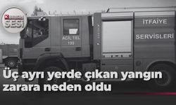 Üç ayrı yerde çıkan yangın zarara neden oldu