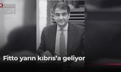 AB’nin Kıbrıs özel temsilcisi liderlerle görüşecek