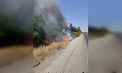 Kurudere köyü yakınlarındaki koruluk alanda yangın...