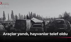 Metehan'da makinist garajında çıkan yangında tamirdeki araçlar ve bölgedeki hayvanlar yandı