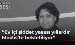 Yiğiter'den hükümete çağrı: “Ev İçi Şiddet Yasası'nı bir an önce geçirin”