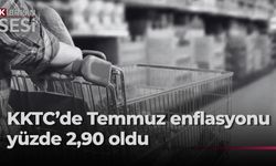 Temmuz ayı enflasyon oranı yüzde 2,90… Fiyatı en çok artan salatalık