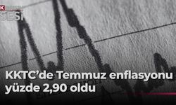 Temmuz ayı enflasyon oranı yüzde 2,90… Fiyatı en çok artan salatalık