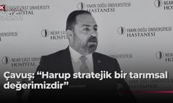 Tarım ve Doğal Kaynaklar Bakanı Çavuş “Büyük Harup Çalıştayı”na katıldı