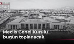Meclis, toplum güvenliği gündemiyle olağanüstü toplanıyor