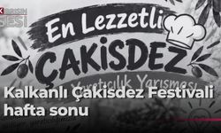 13. Kalkanlı Çakisdez ve Kültür Festivali hafta sonu yapılacak