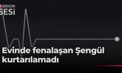 Evinde rahatsızlanan 70 yaşındaki Şengül hayatını kaybetti