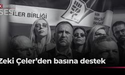 Çeler: “Gazeteciye saldırı, halkın haber alma hakkına saldırıdır”